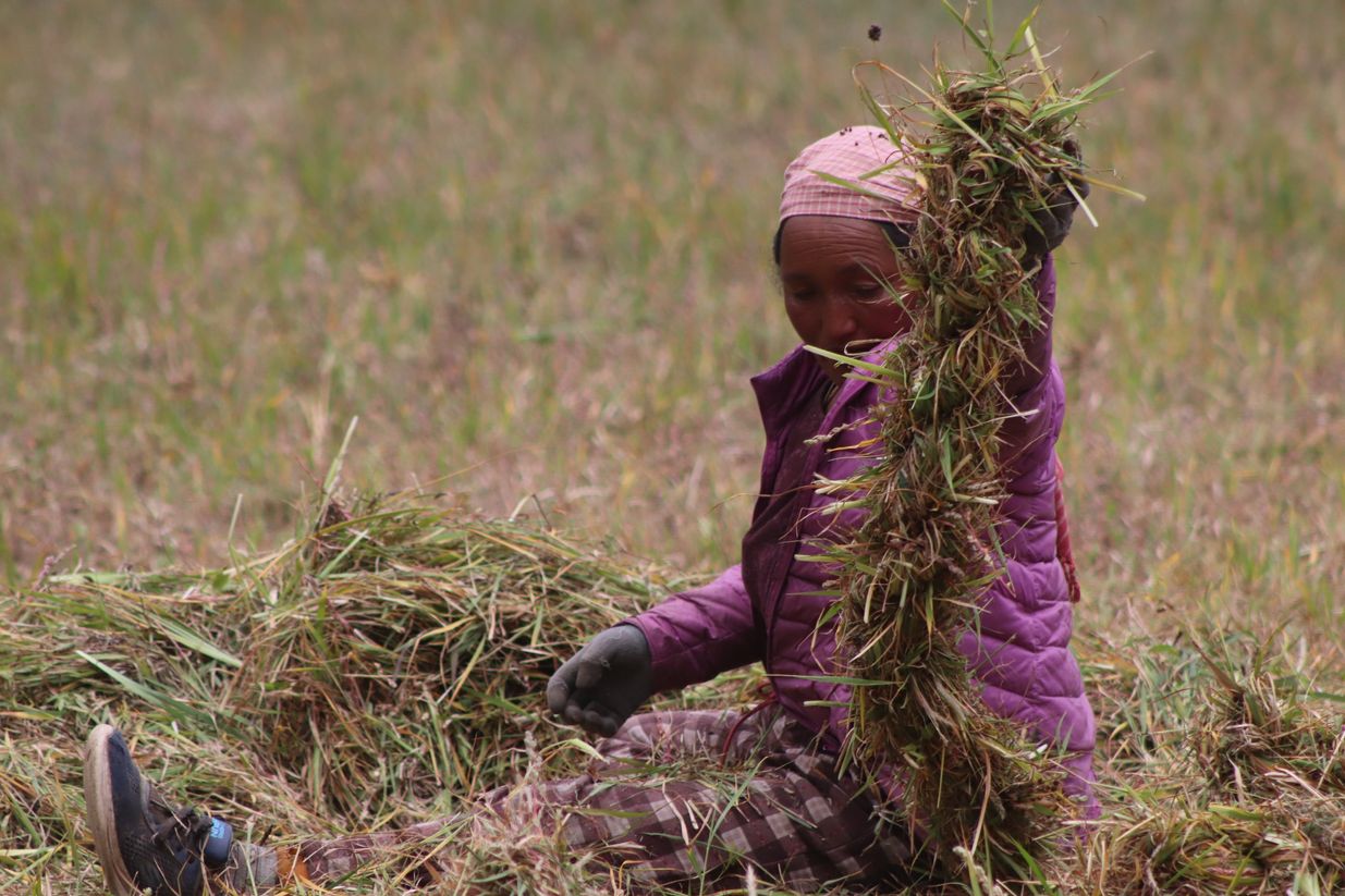 नेपालको यस्तो गाउँ जहाँ घाँस काट्न पनि साइत हेरिन्छ